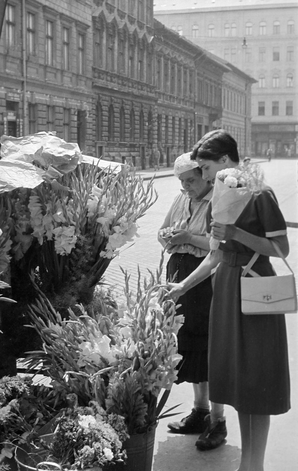 1958, Petrók Károly, Fortepan #312413