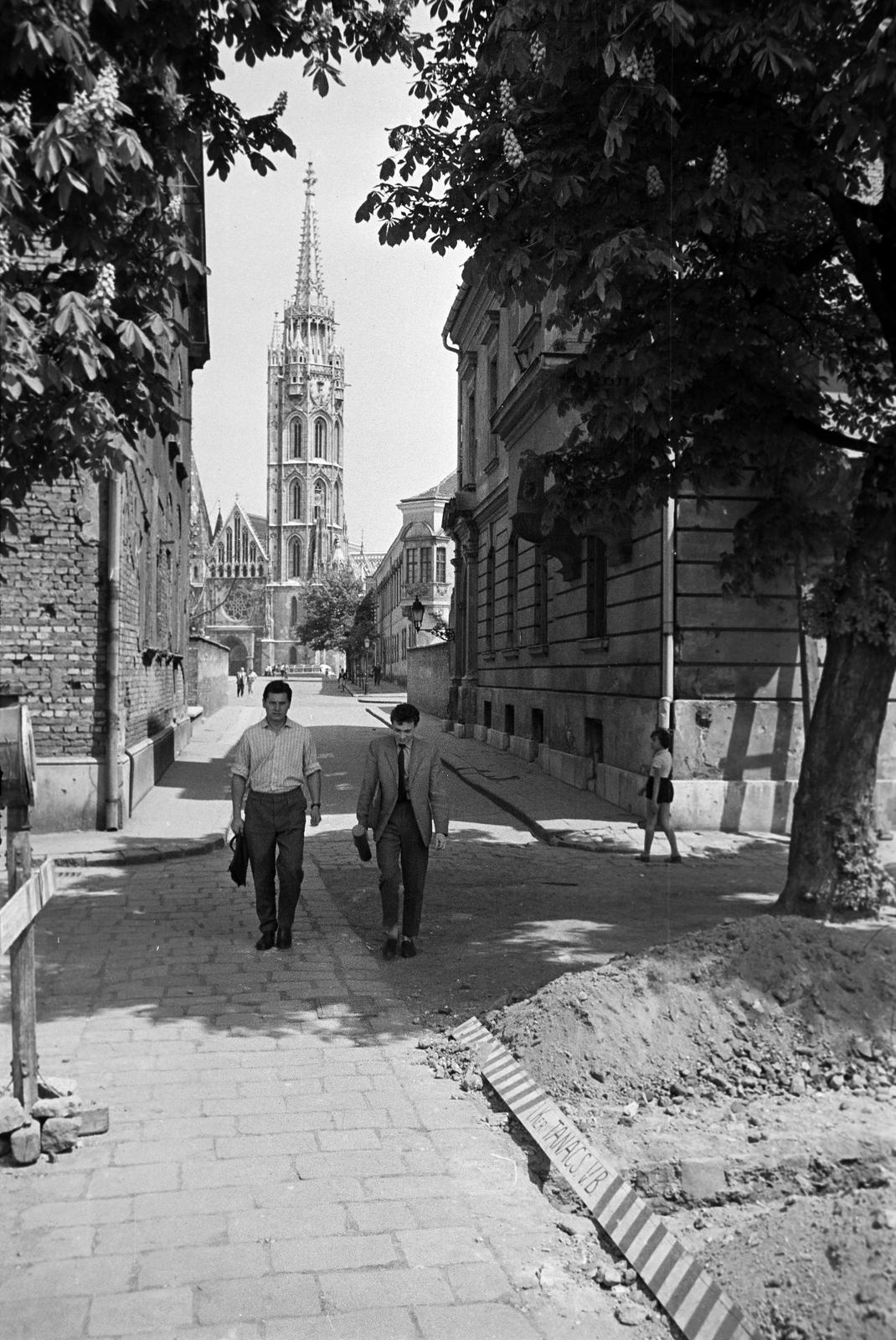 1959, Petrók Károly, Fortepan #312421