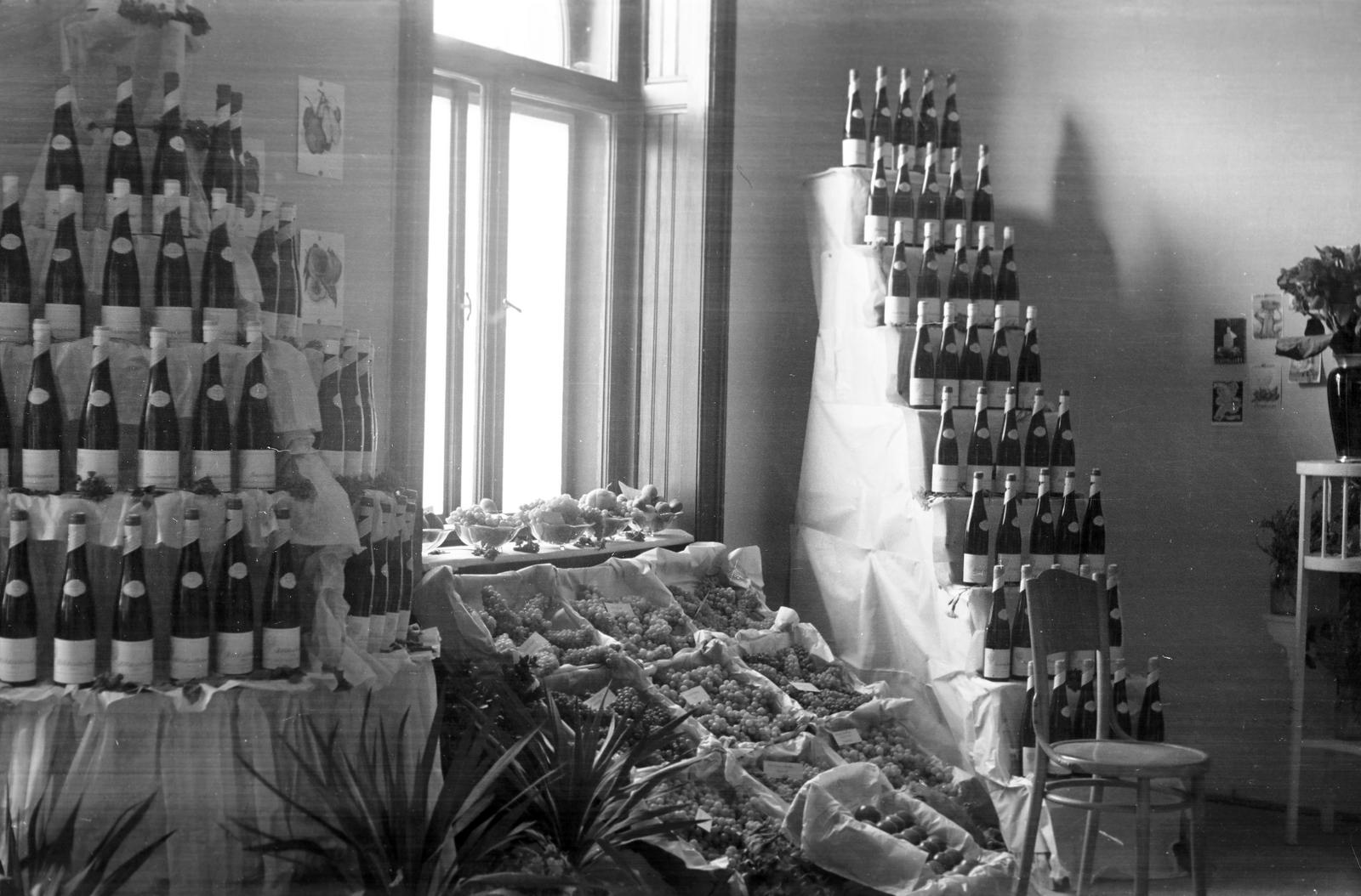 1949, Petrók Károly, Fortepan #312431