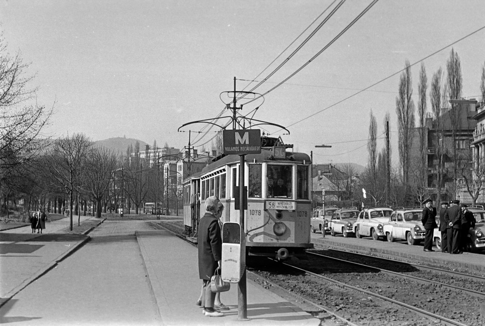 1961, Petrók Károly, Fortepan #312439