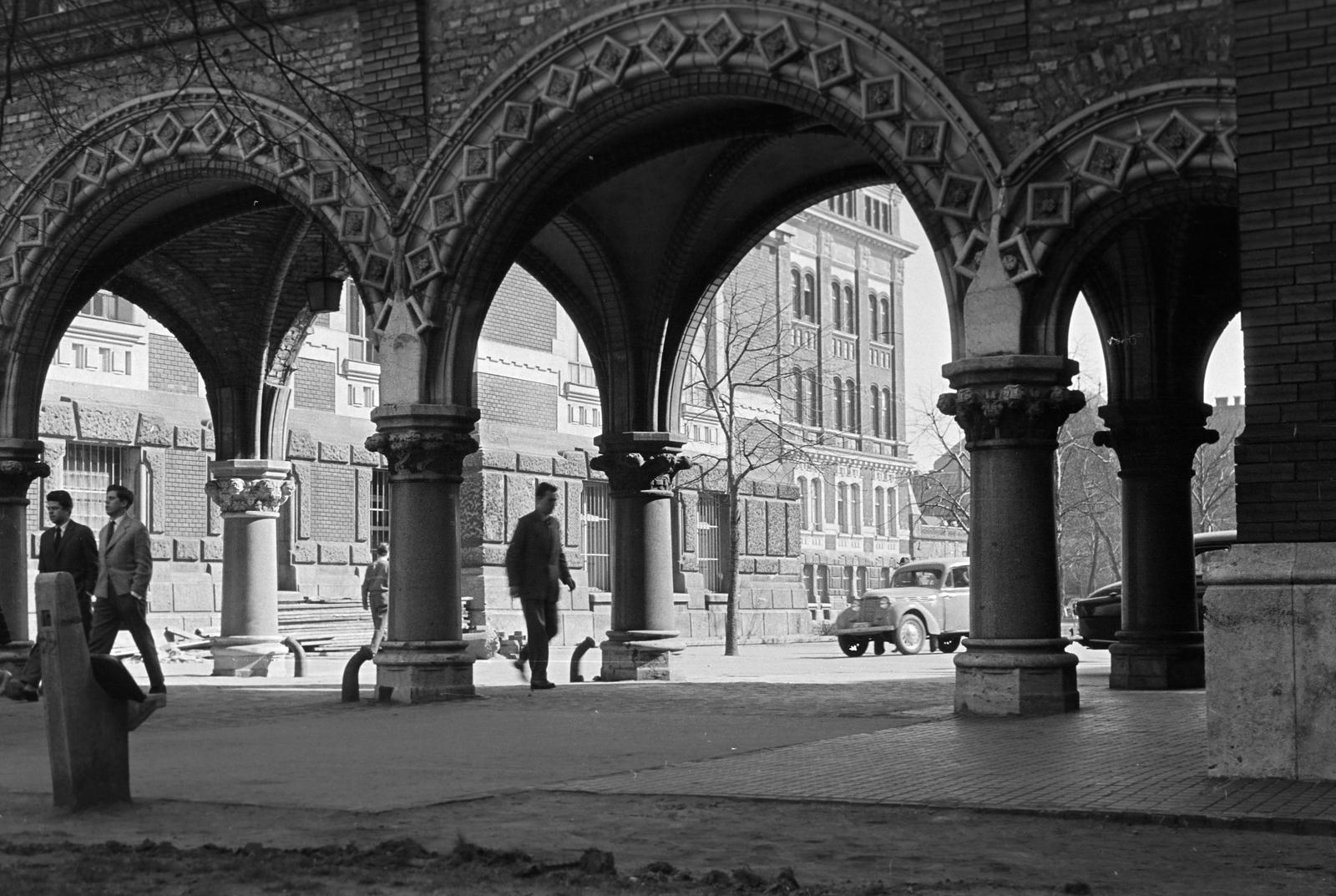 1959, Petrók Károly, Fortepan #312442