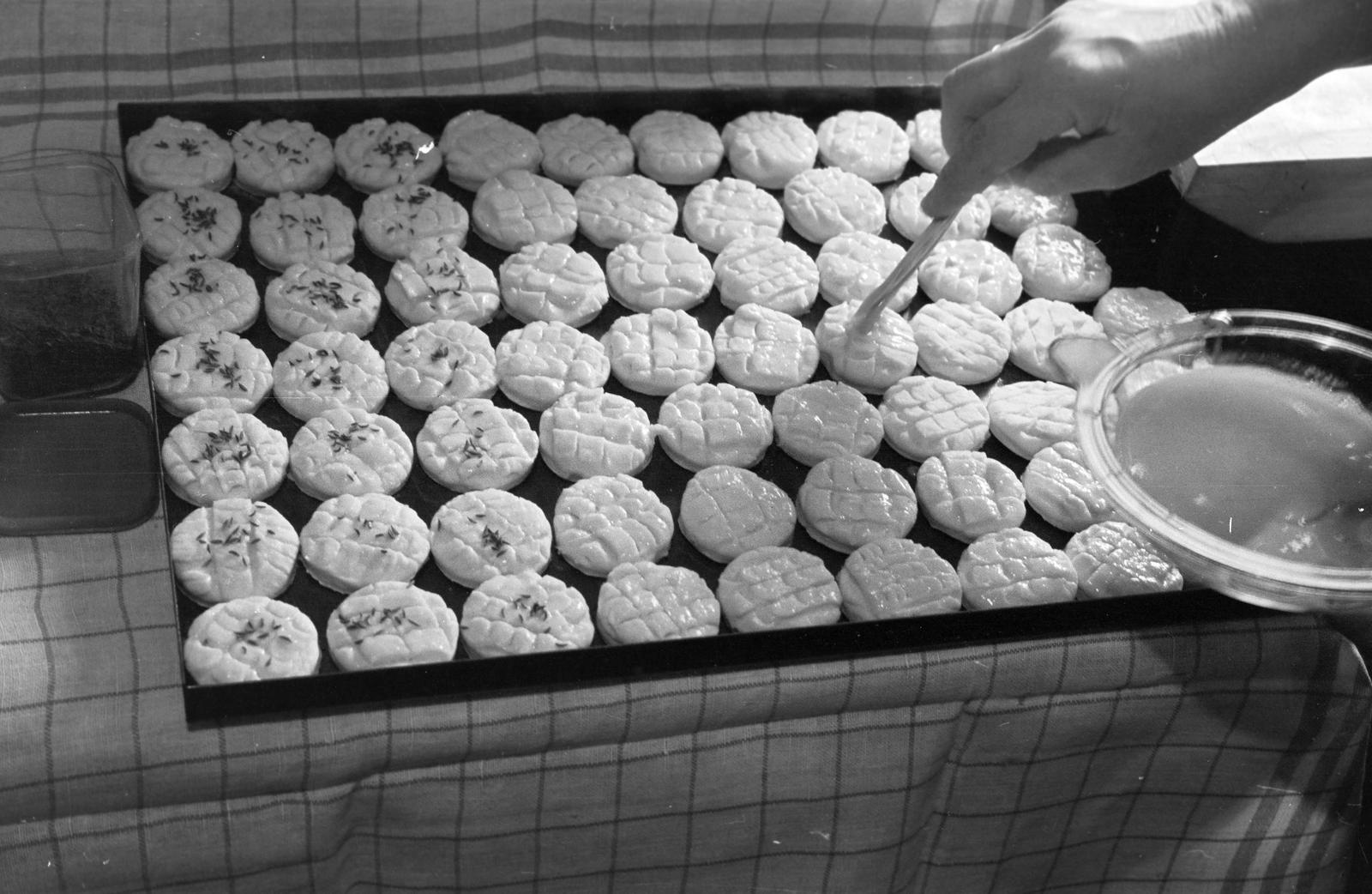 1959, Petrók Károly, Fortepan #312448