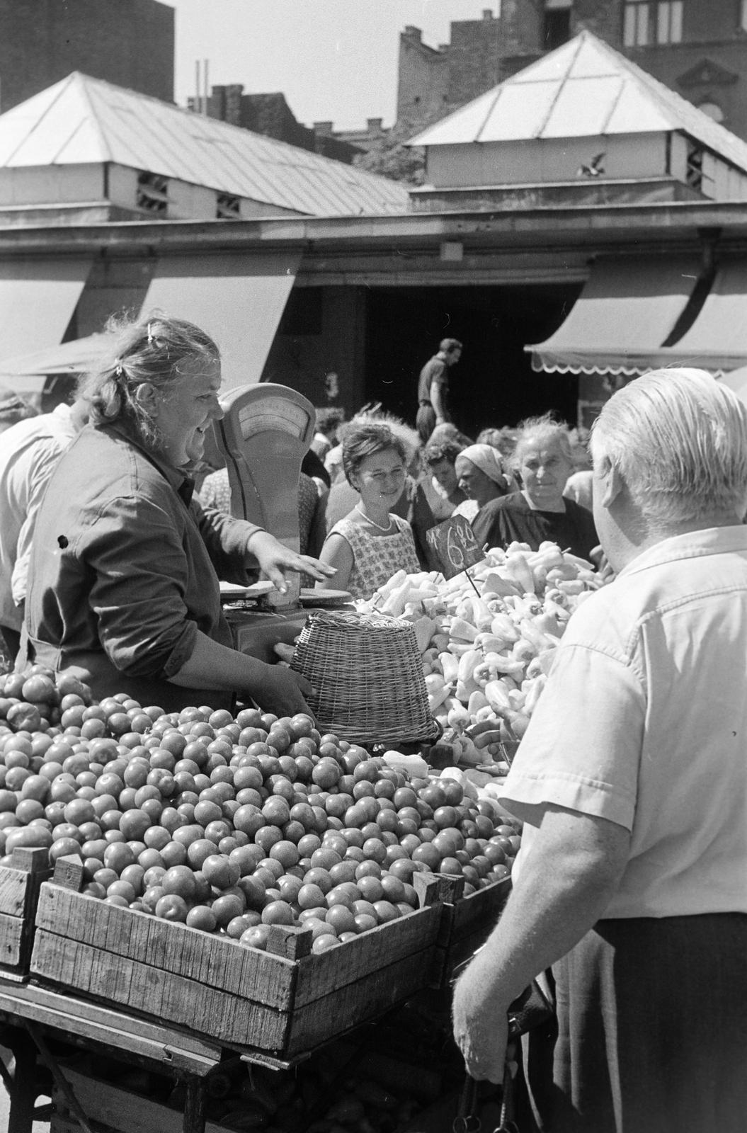 1959, Petrók Károly, Fortepan #312456