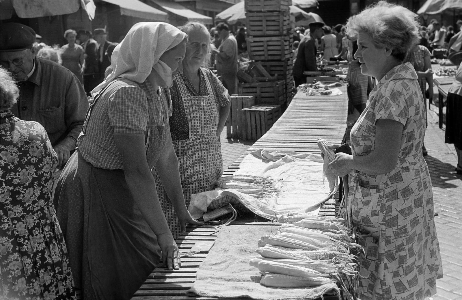 1959, Petrók Károly, Fortepan #312457