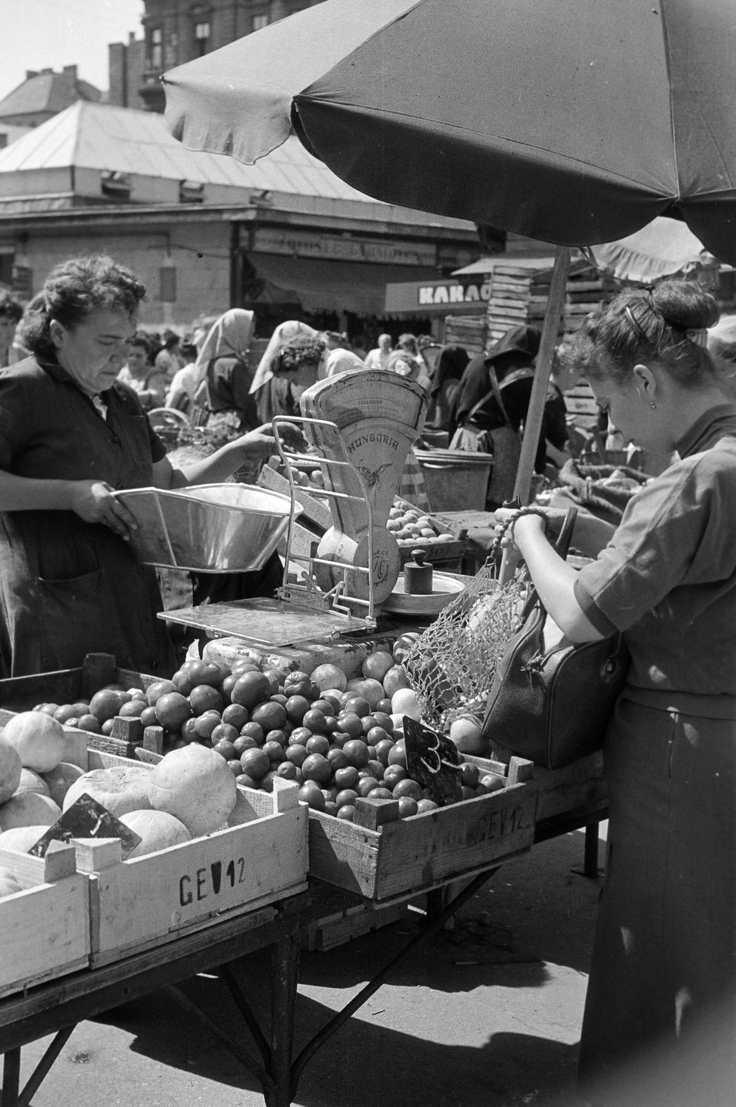 1959, Petrók Károly, Fortepan #312458