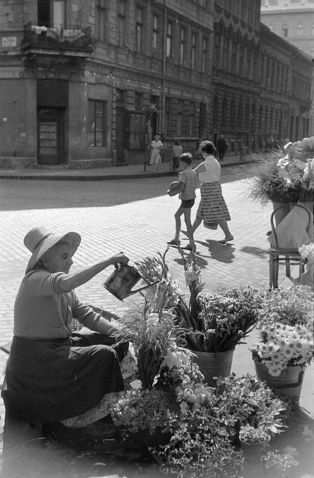 1959, Petrók Károly, Best of, virágárus, Fortepan #312462