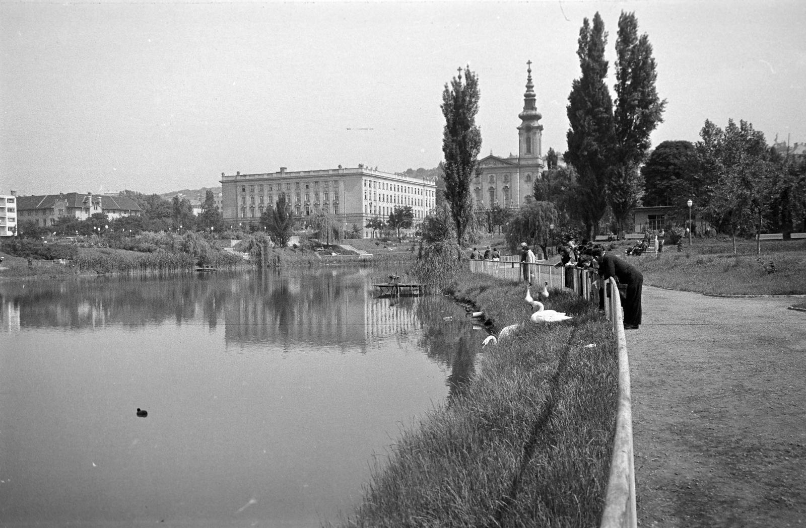 1962, Petrók Károly, Fortepan #312469