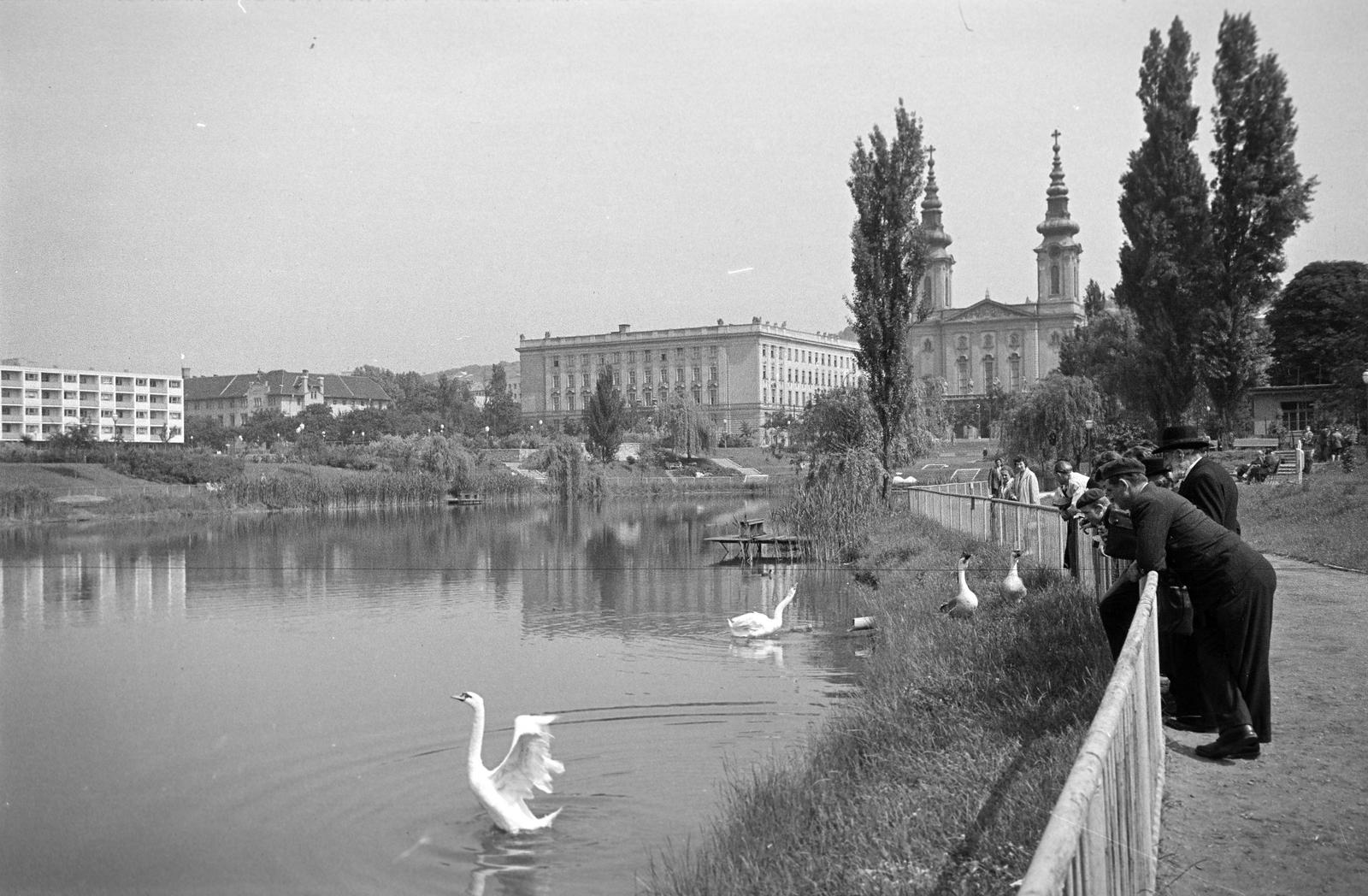 1962, Petrók Károly, Fortepan #312470