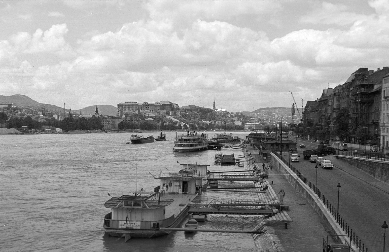 1962, Petrók Károly, Fortepan #312472