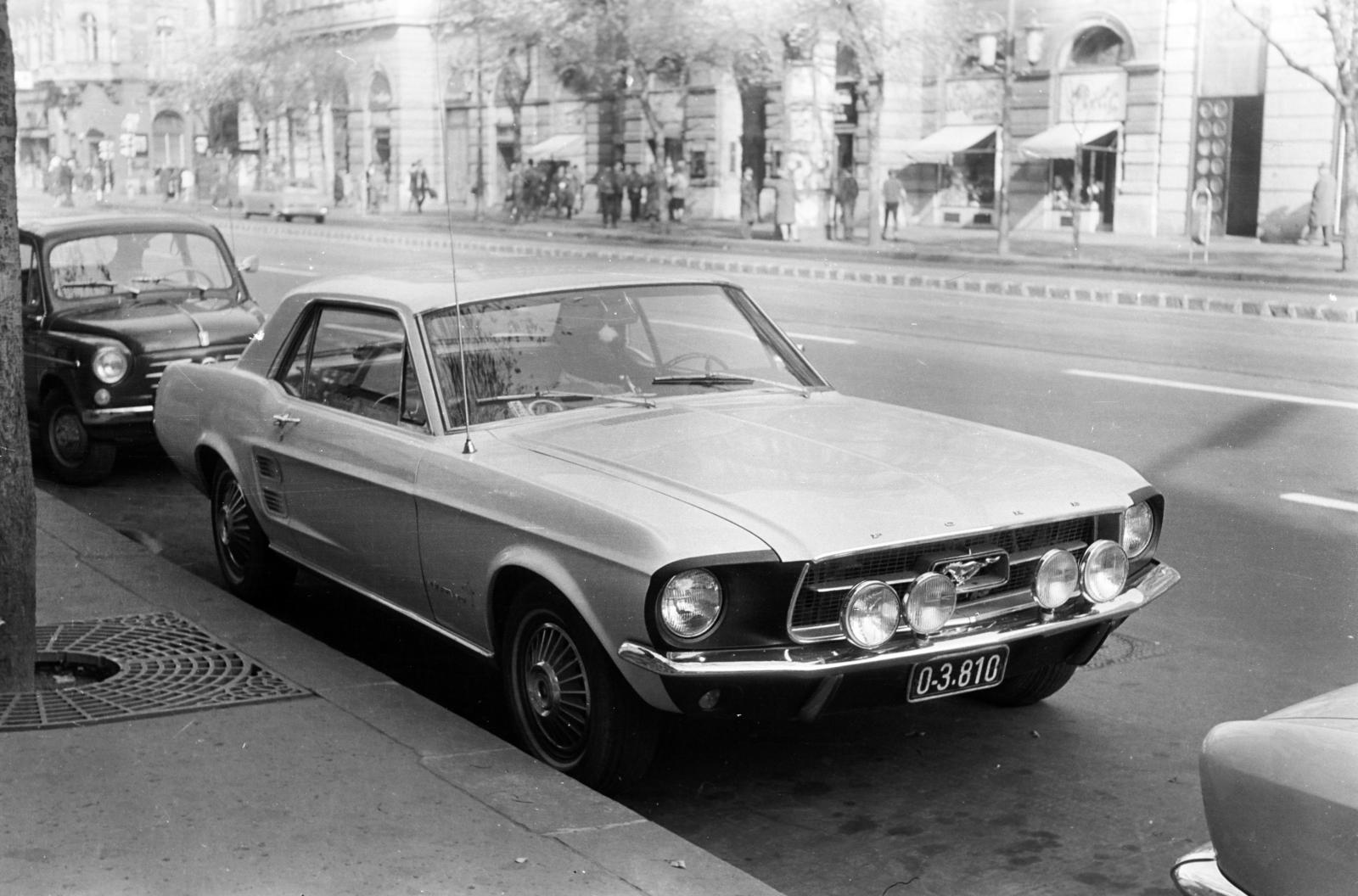 1971, Sarkadi Vilmos, Fortepan #312495