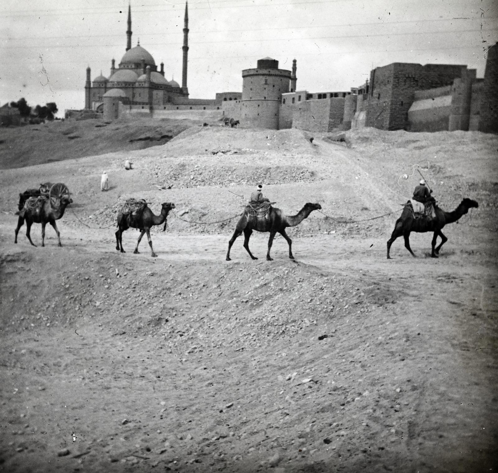 1910, fortepan/Album 123, Fortepan #312534