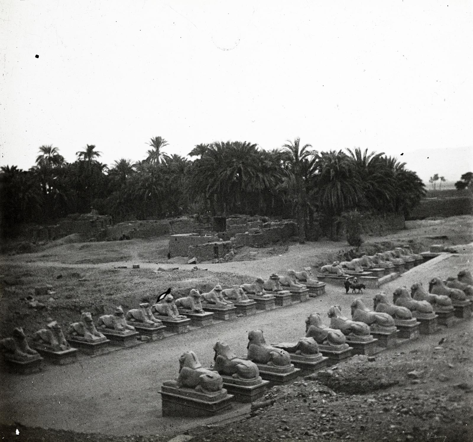 1910, fortepan/Album 123, Fortepan #312537