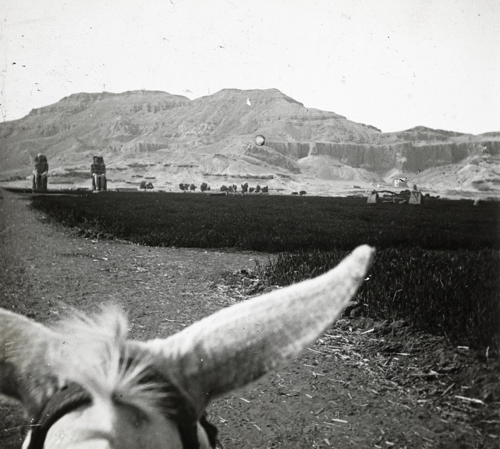 1910, fortepan/Album 123, Fortepan #312544