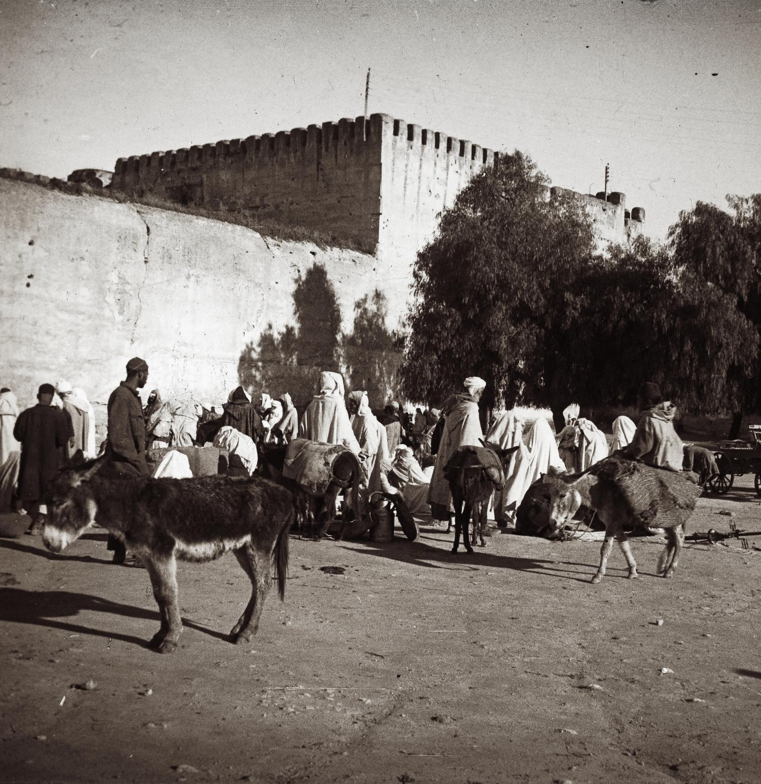 1910, fortepan/Album 123, Fortepan #312657