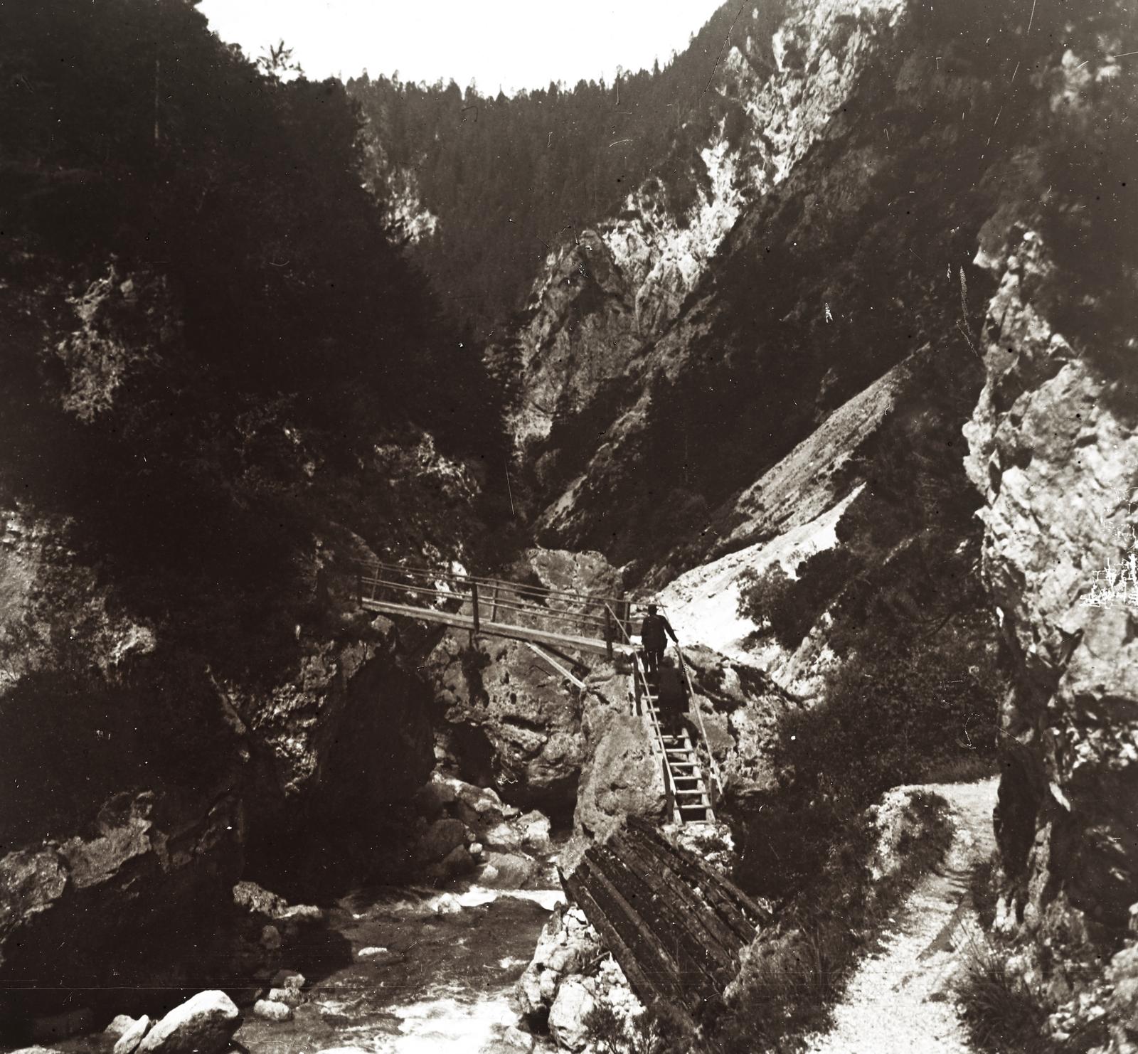 1910, fortepan/Album 123, Fortepan #312662