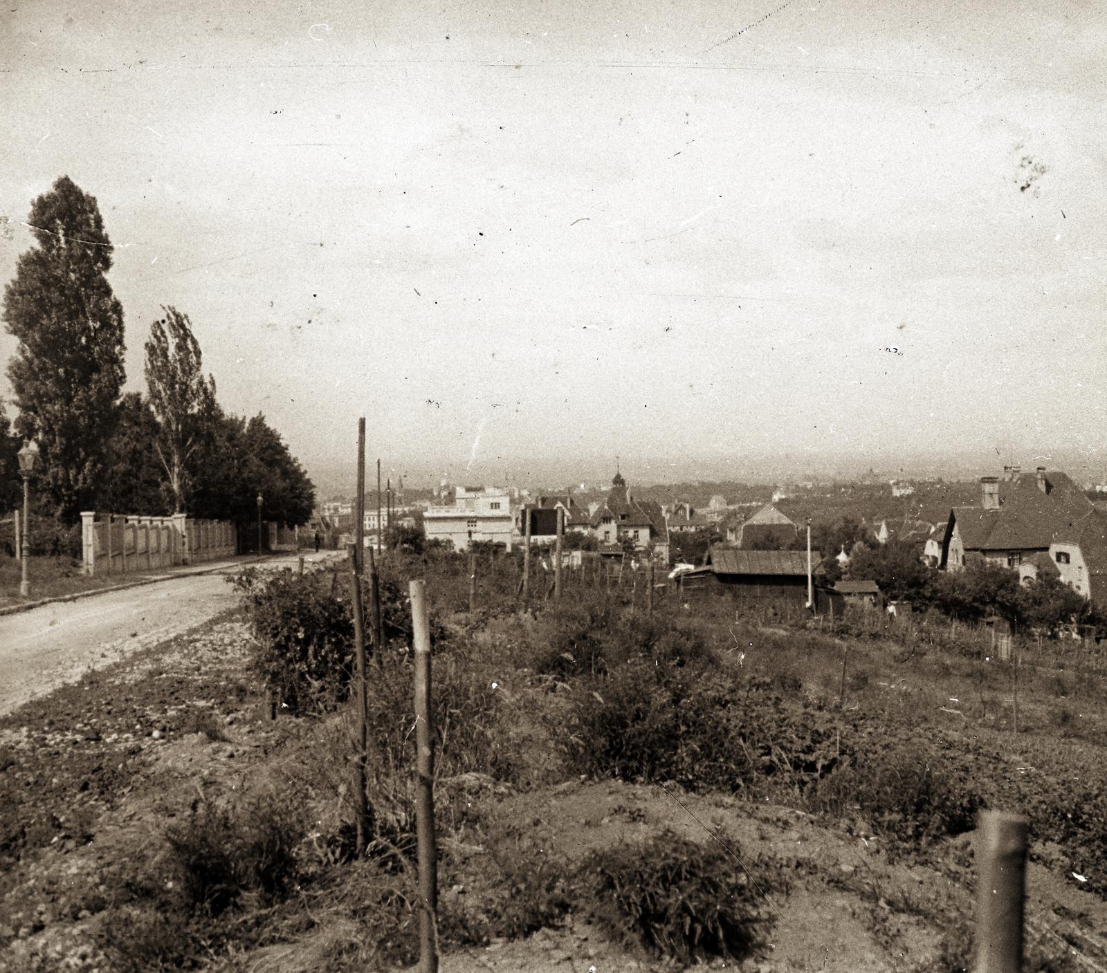 1909, fortepan/Album 123, Fortepan #312665