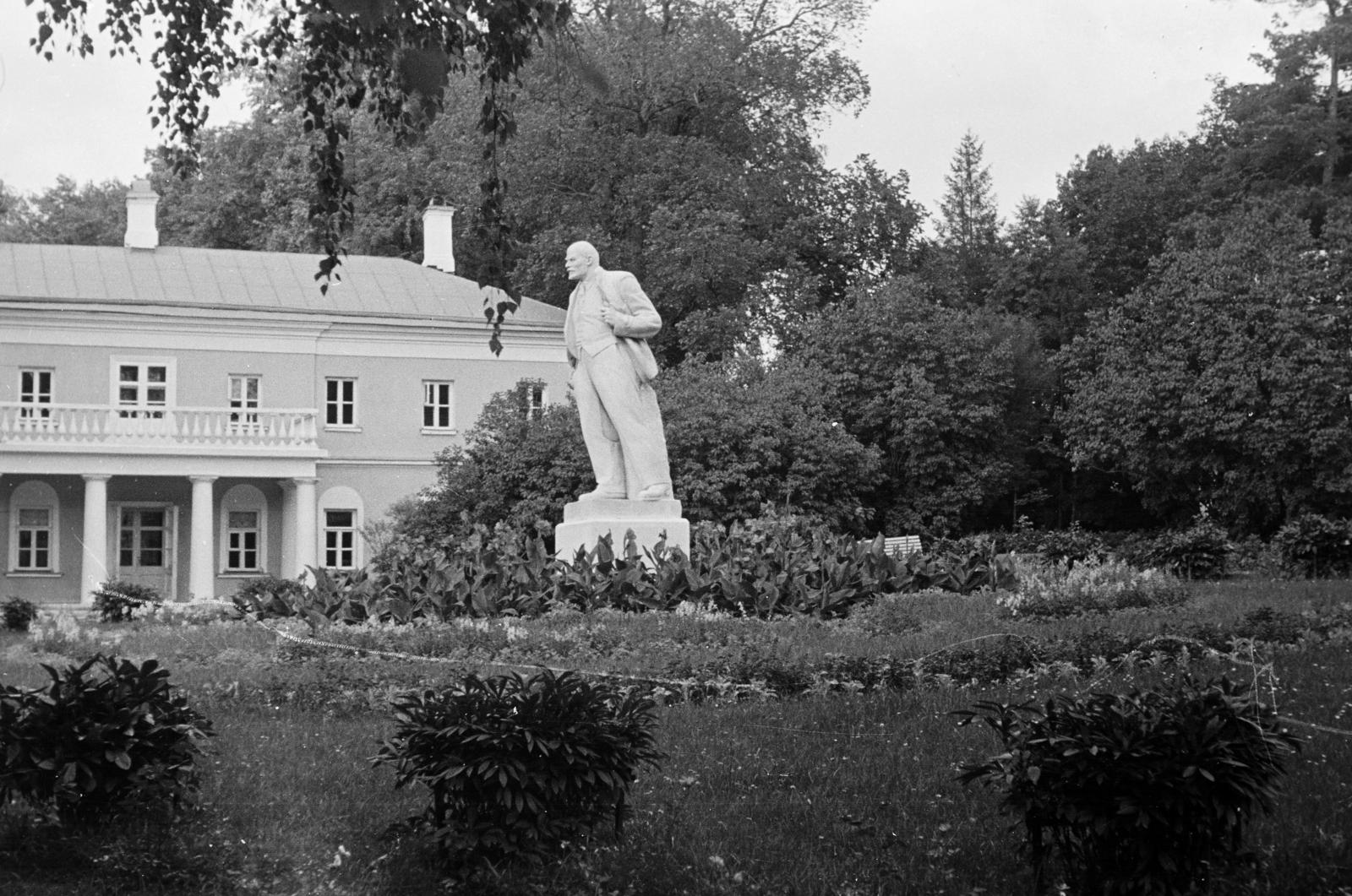 1960, Török András, Fortepan #312703