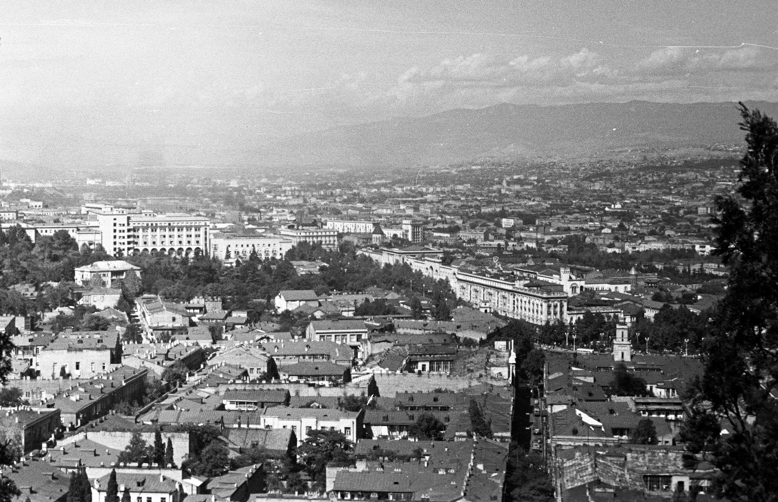 1958, Török András, Fortepan #312713