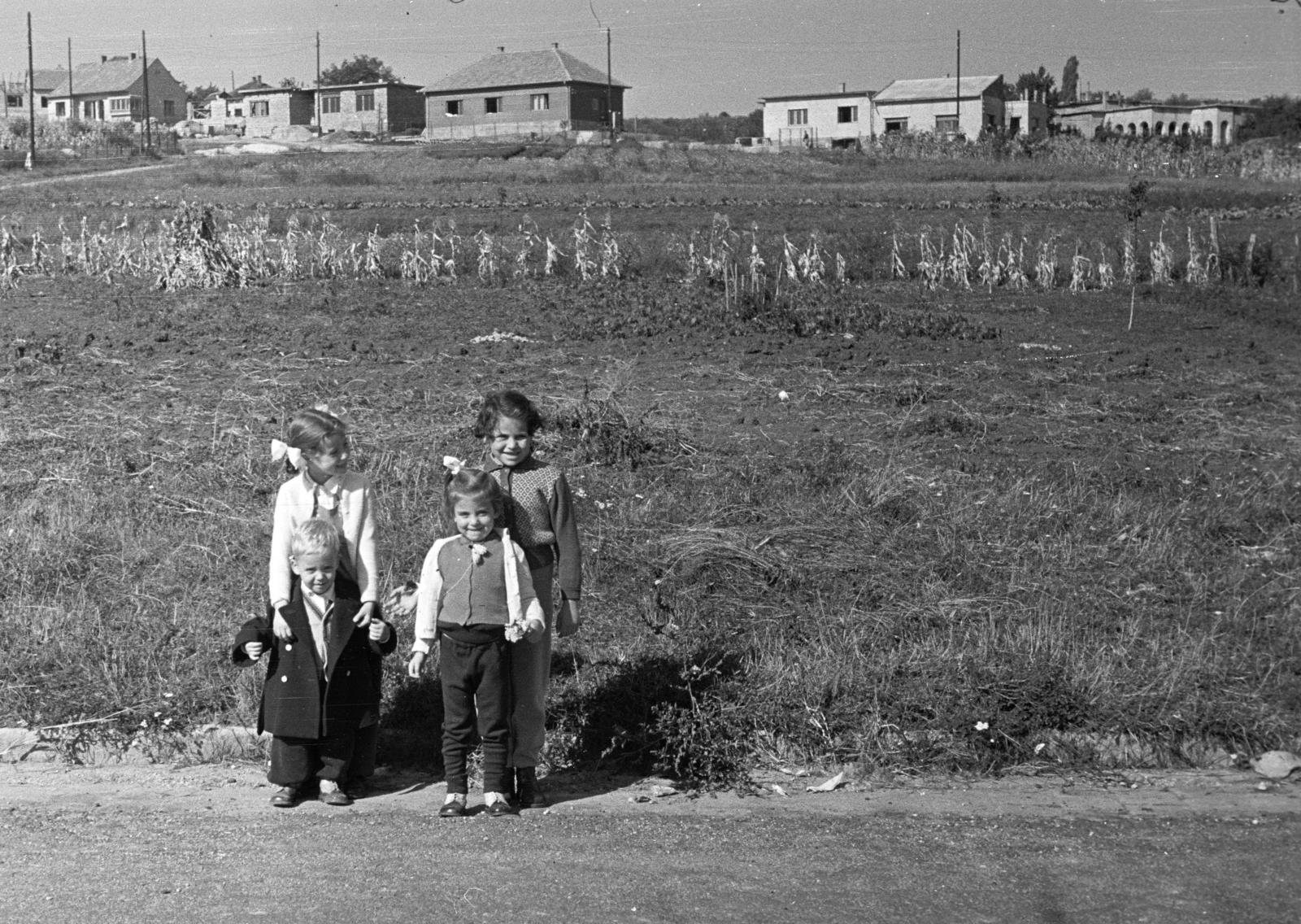 1958, Török András, Fortepan #312718