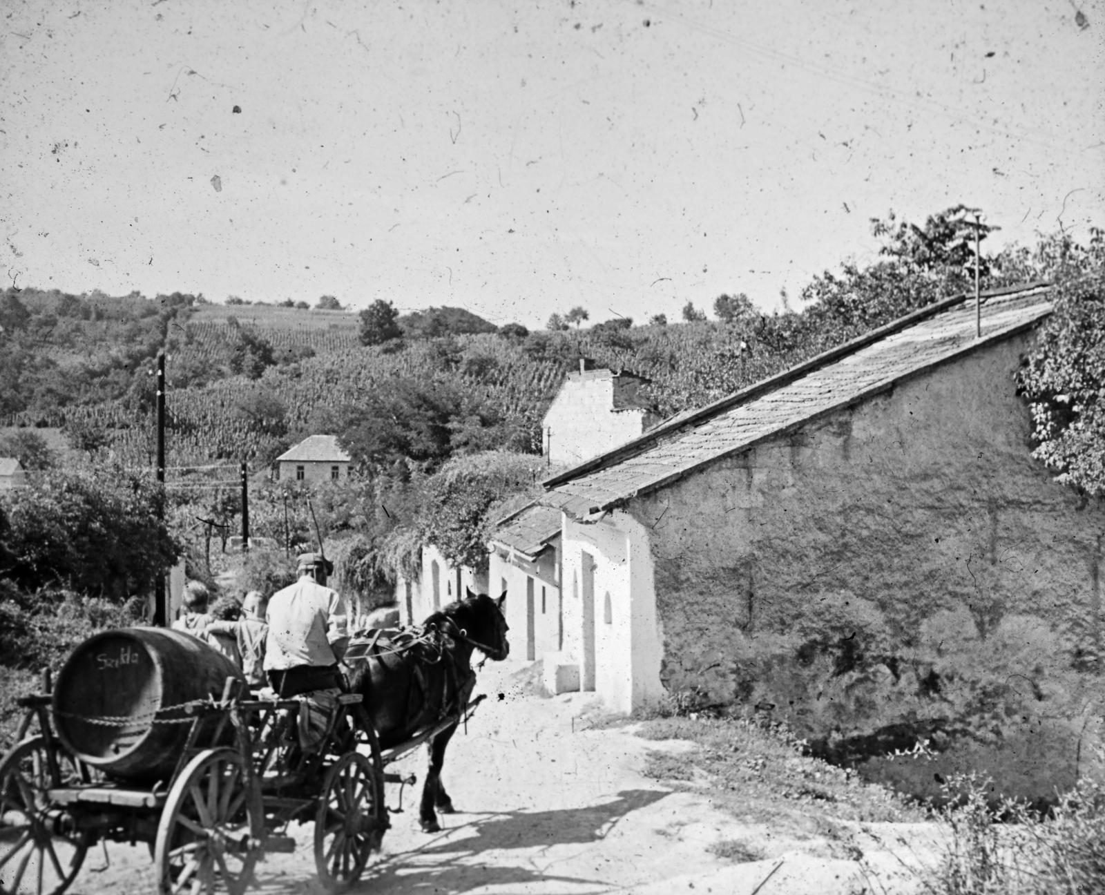 1929, Várallyay Katus, Fortepan #312725