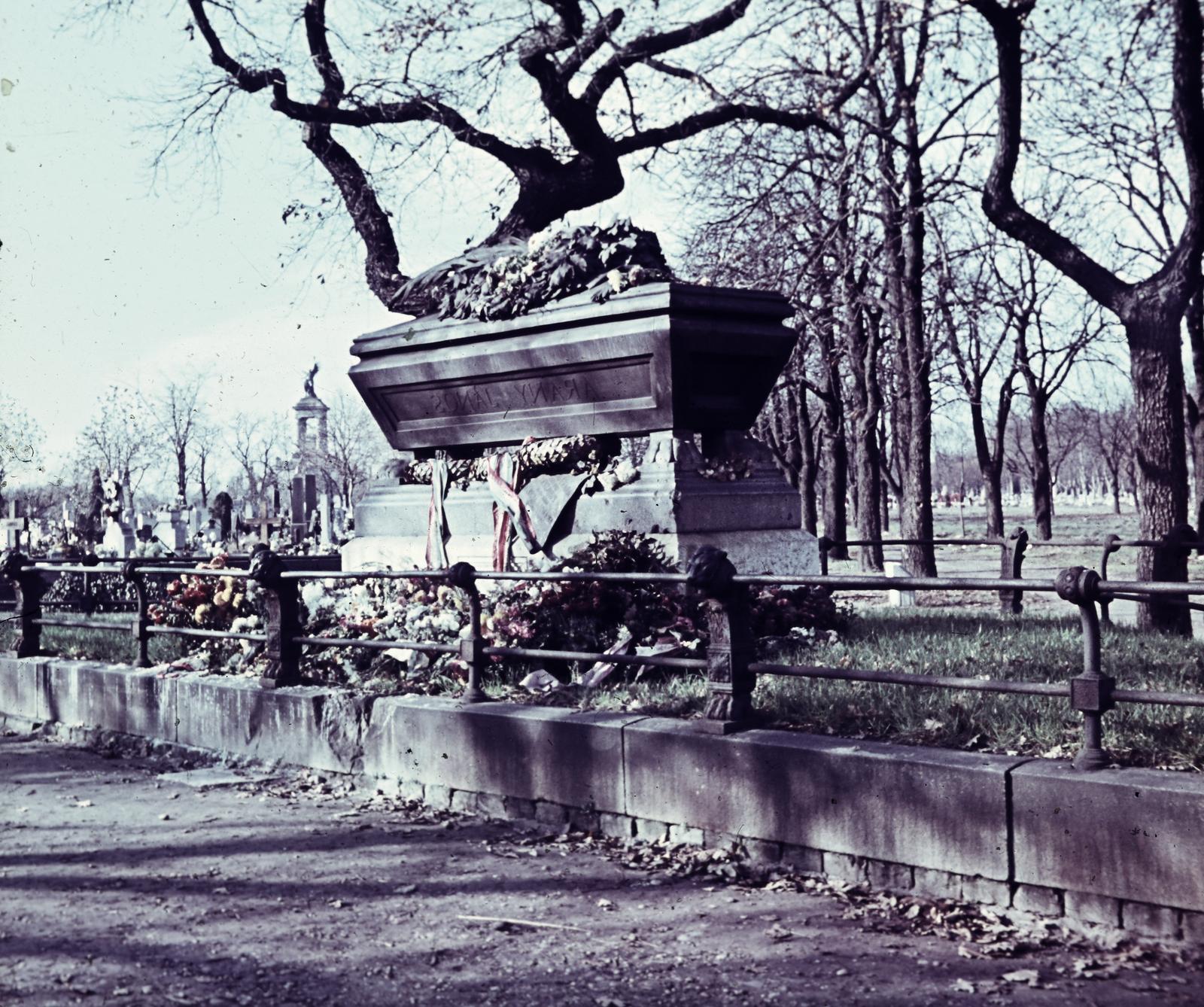 1957, Várallyay Katus, Fortepan #312727