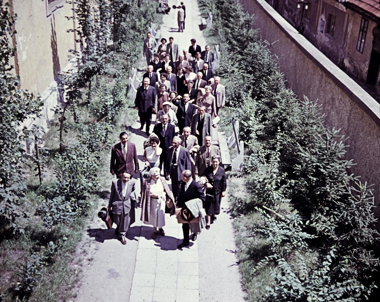 1957, Várallyay Katus, Fortepan #312731