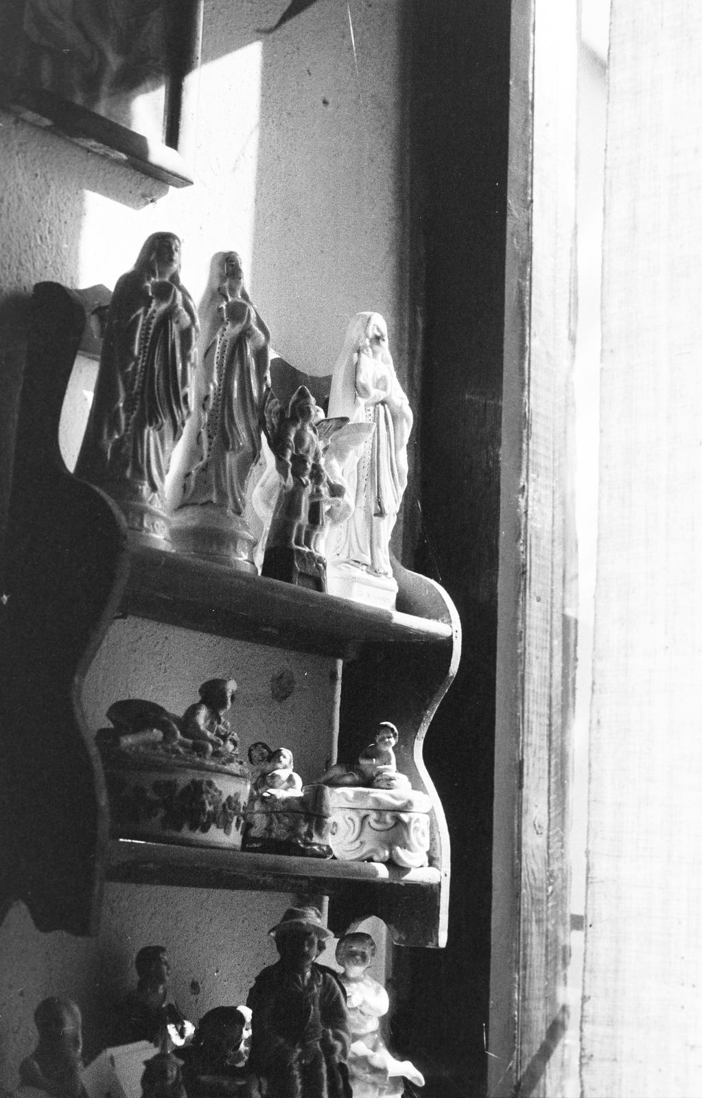 1982, Veres Júlia, Fortepan #312749