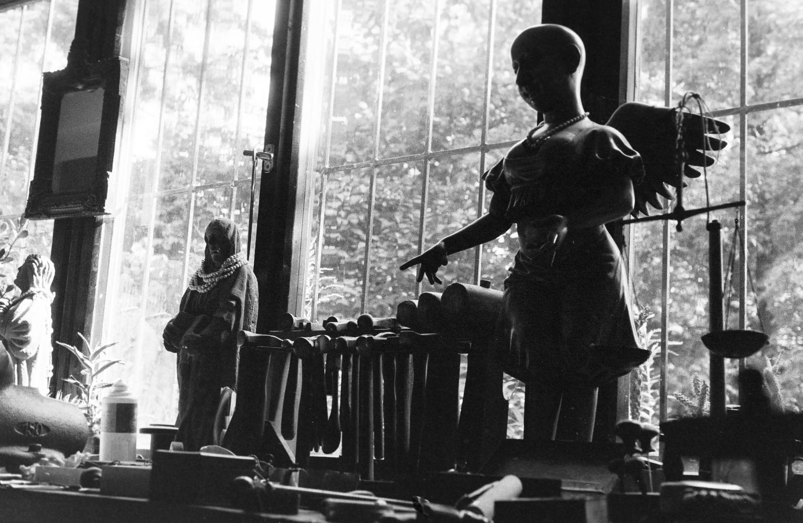 1982, Veres Júlia, Fortepan #312751