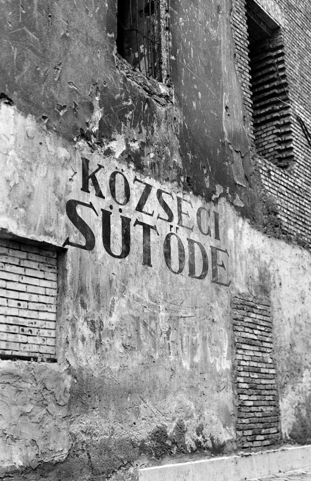 1982, Veres Júlia, Fortepan #312761