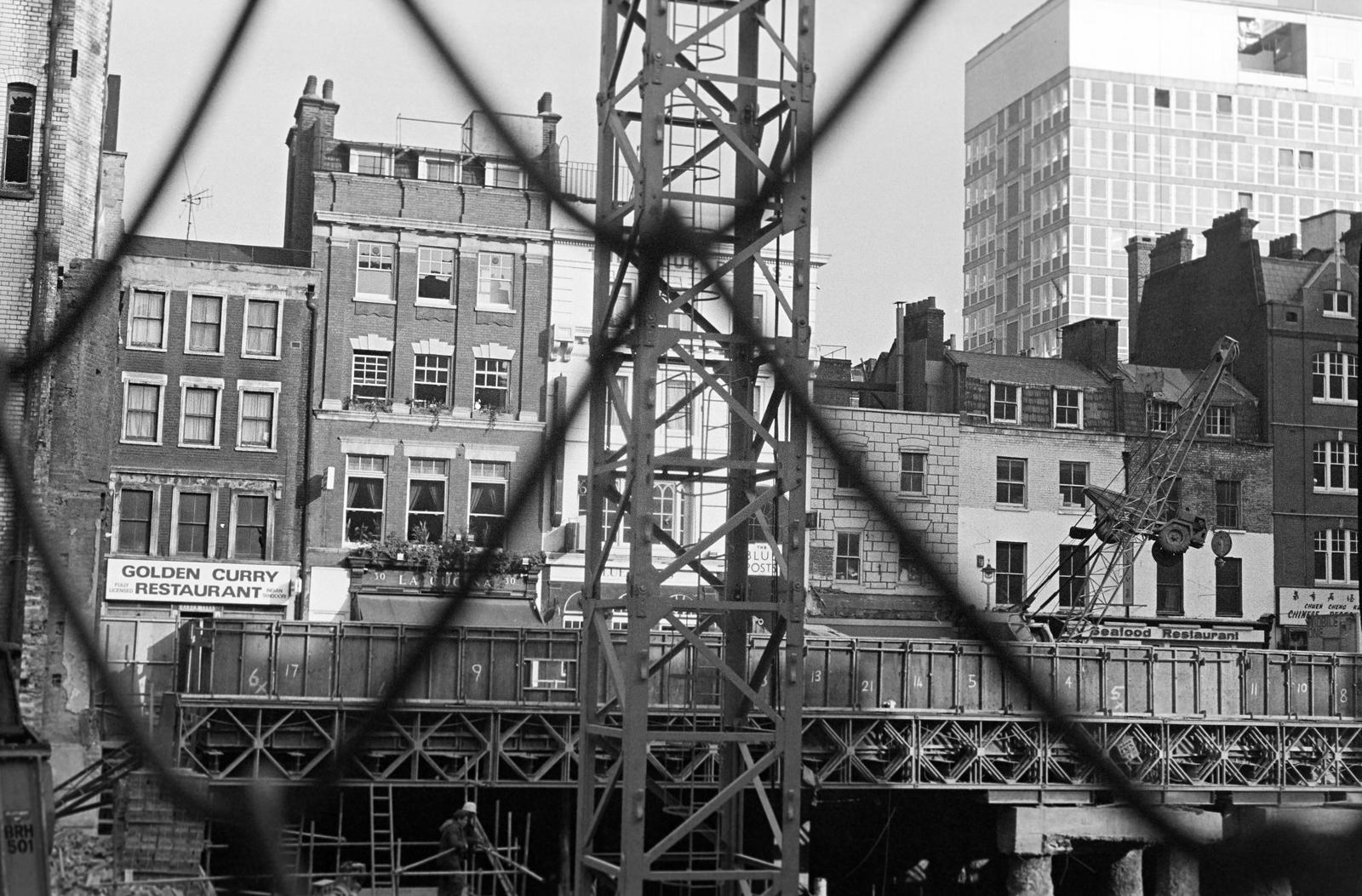 1984, Veres Júlia, Fortepan #312772