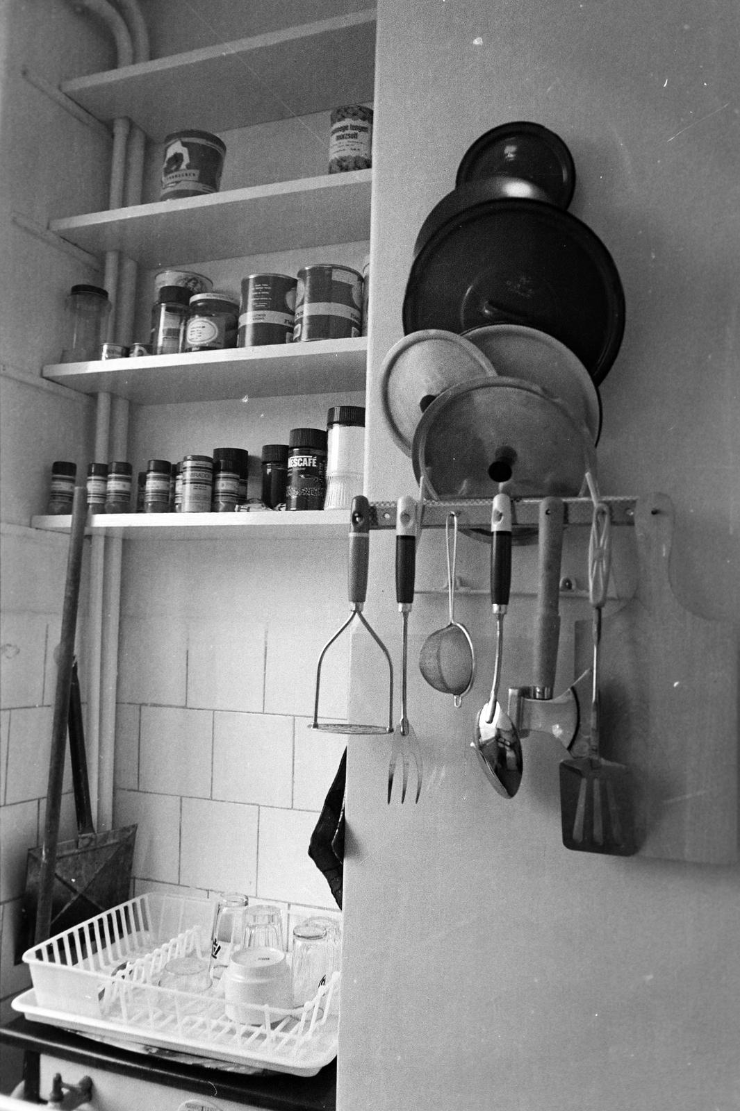 1983, Veres Júlia, Fortepan #312789