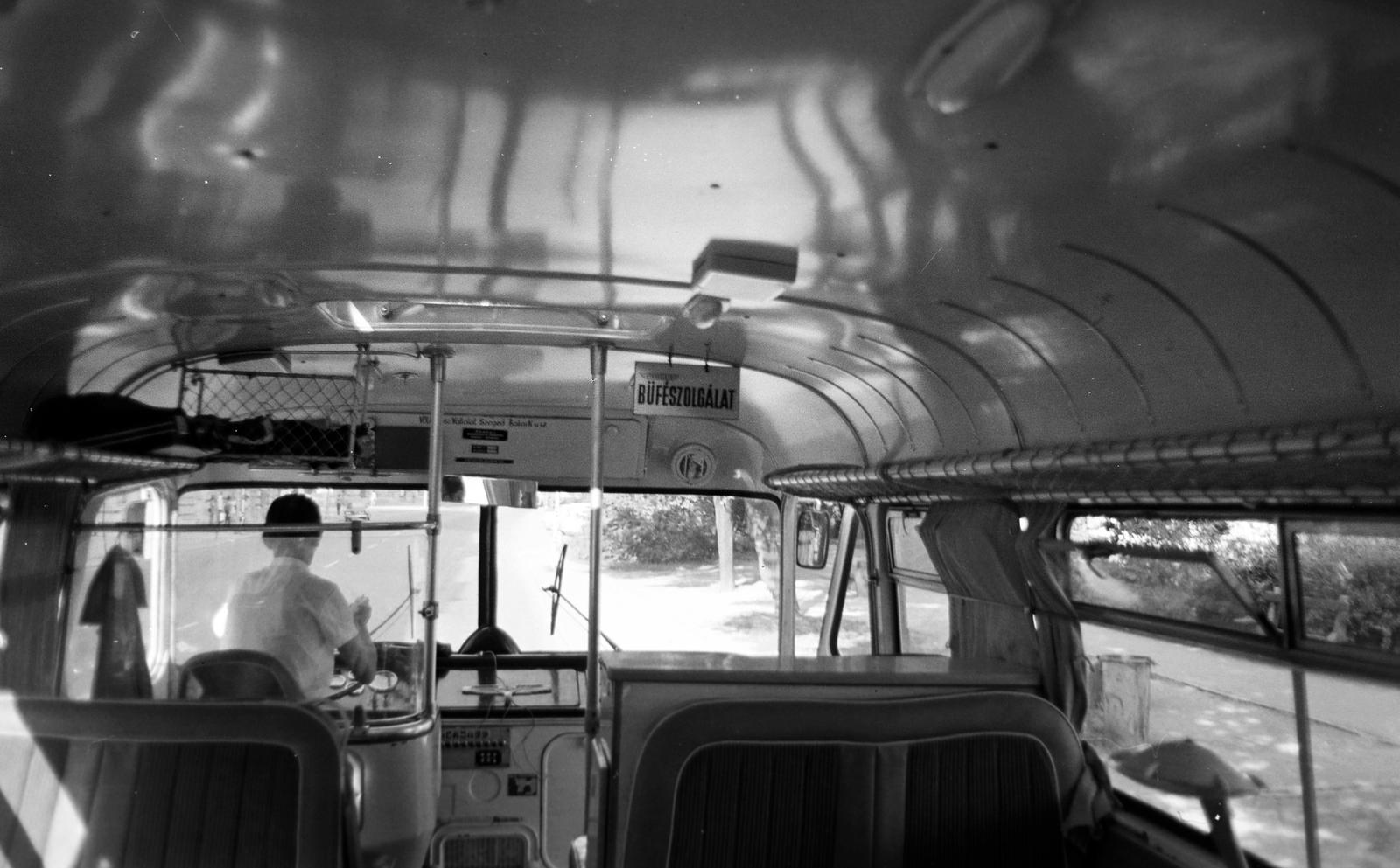 1977, Veres Júlia, Fortepan #312794