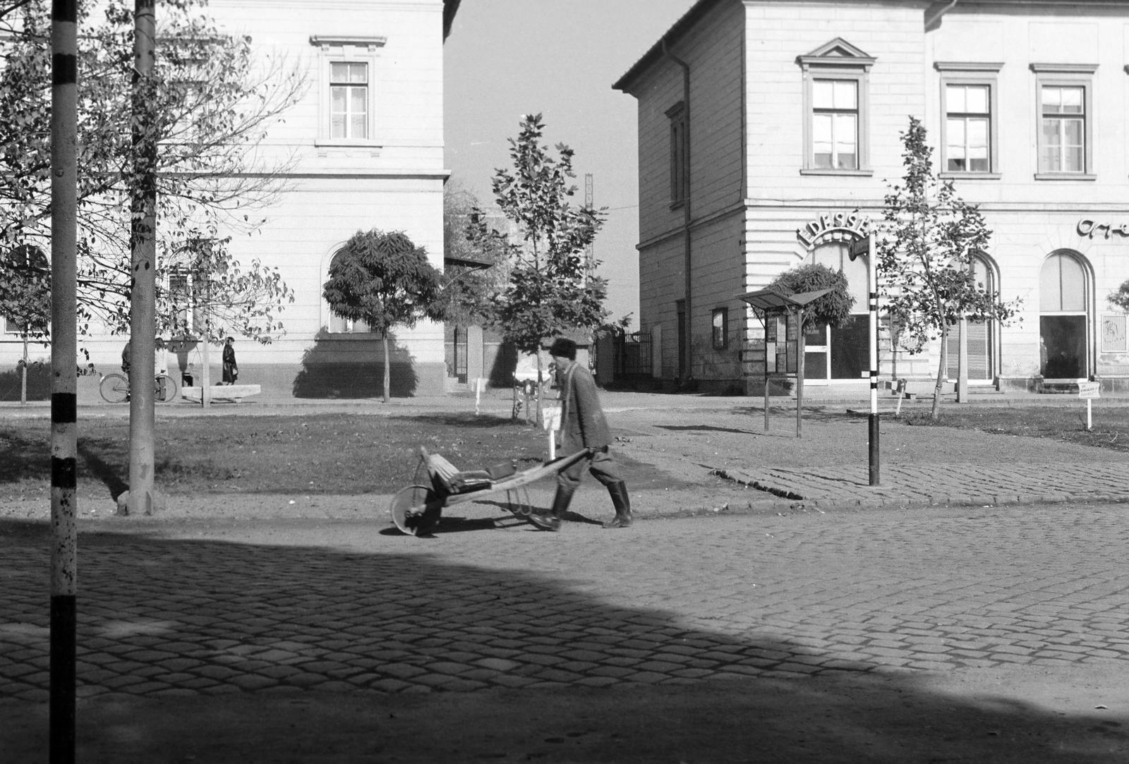 1974, Veres Júlia, Fortepan #312805