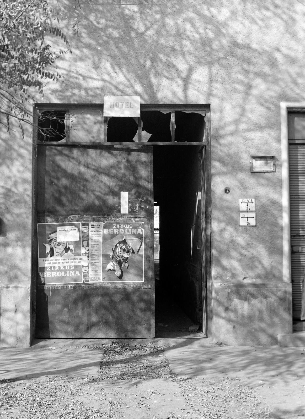 1974, Veres Júlia, Fortepan #312808