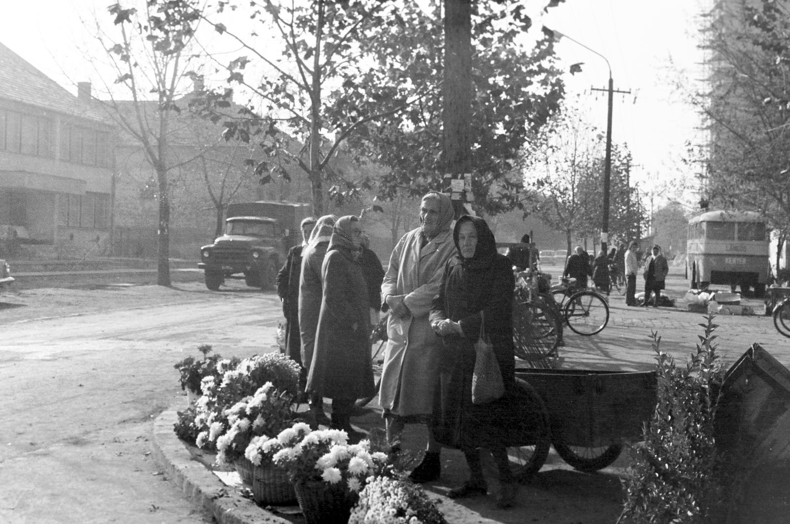 1974, Veres Júlia, Fortepan #312809