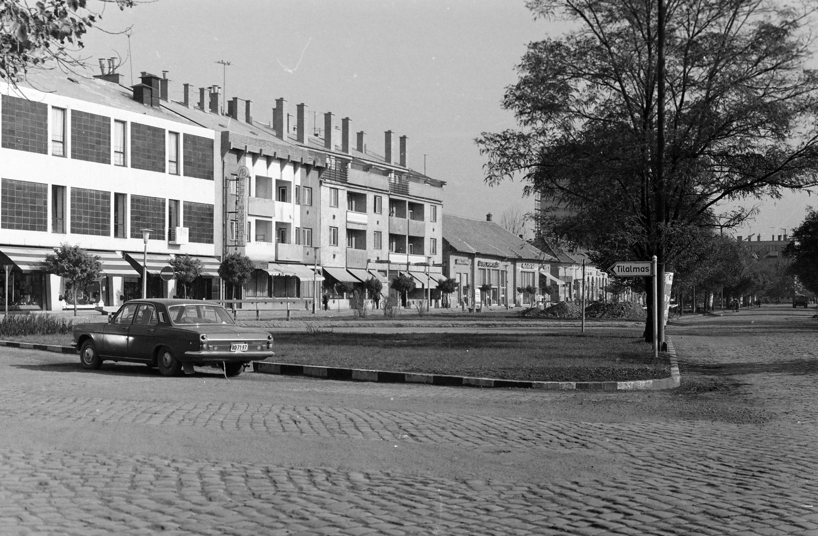 1974, Veres Júlia, Fortepan #312810