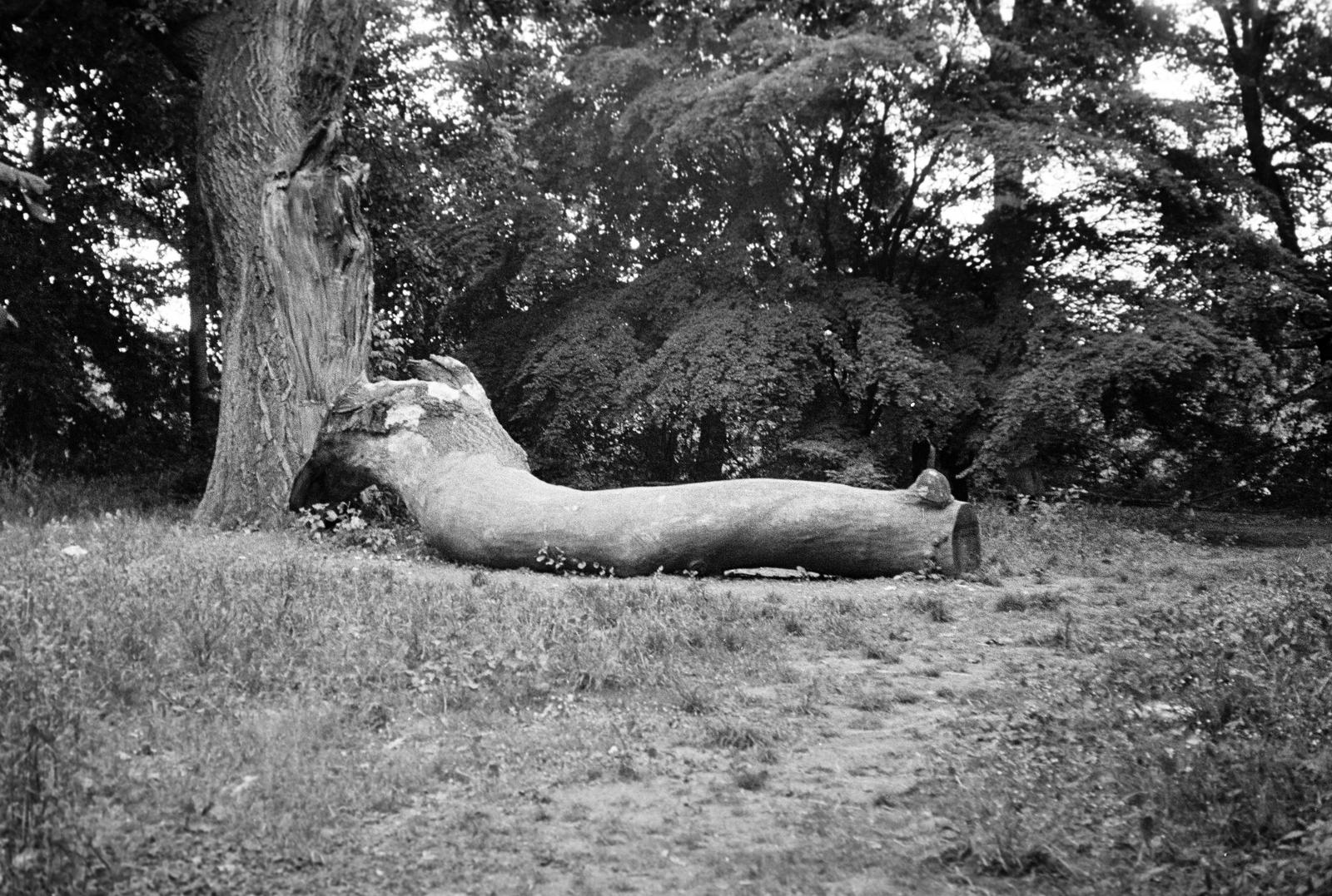 1975, Veres Júlia, Fortepan #312815