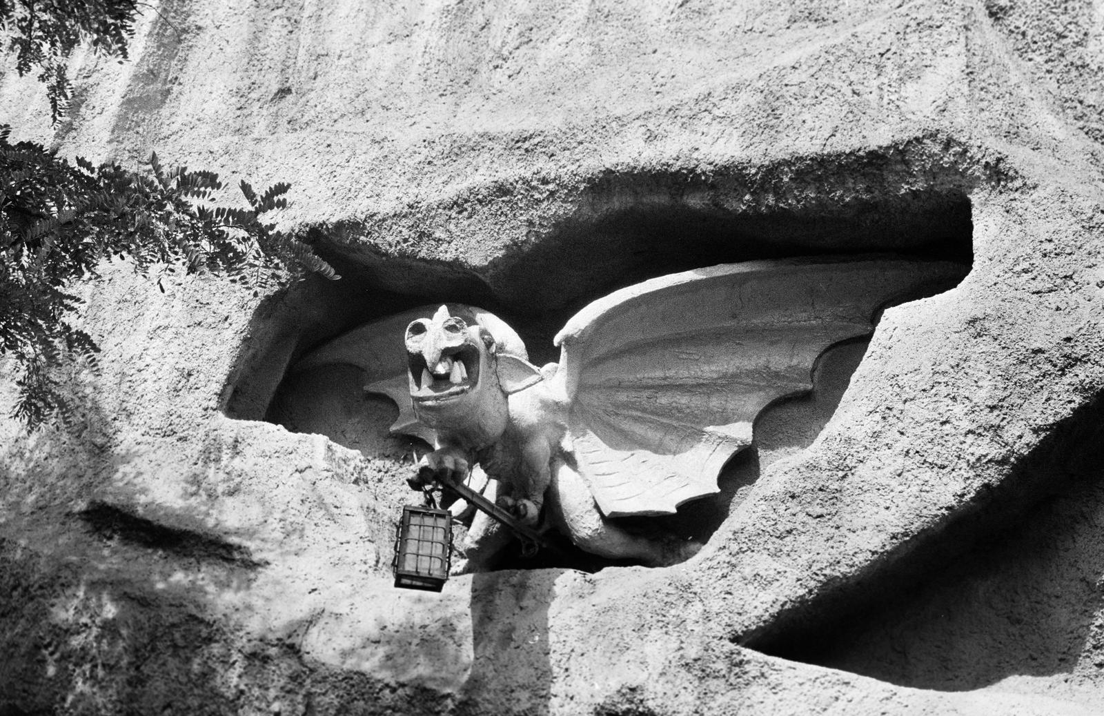 1973, Veres Júlia, Fortepan #312821