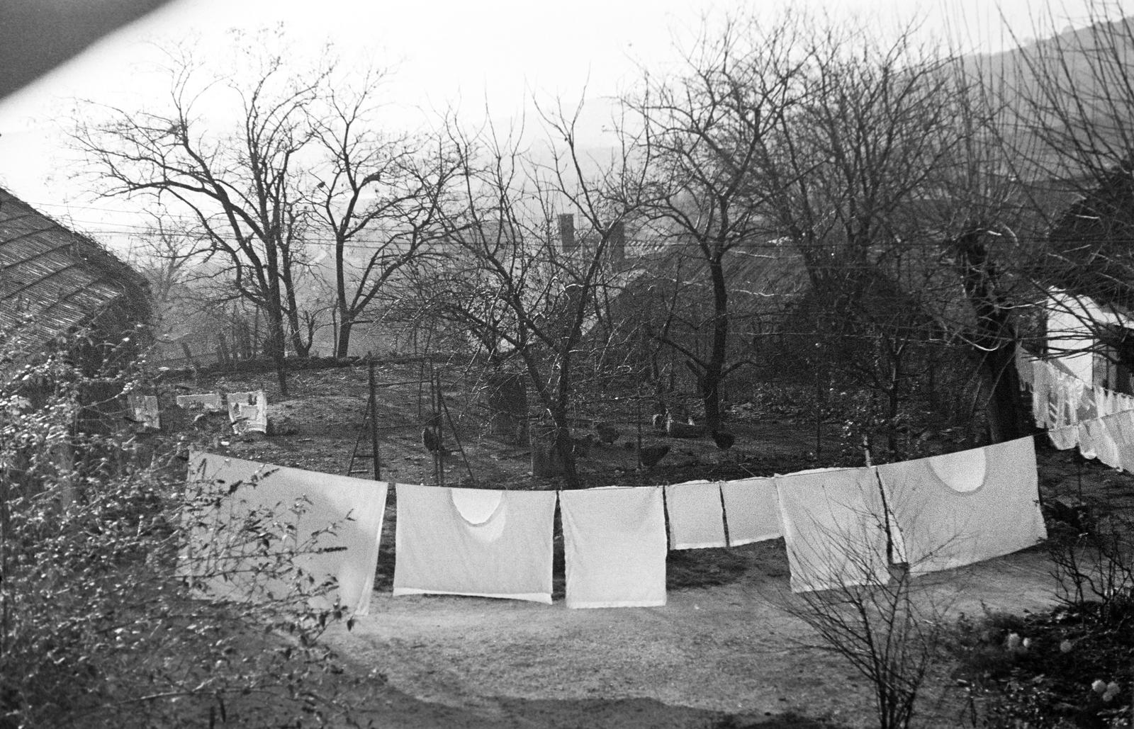 1974, Veres Júlia, Fortepan #312847