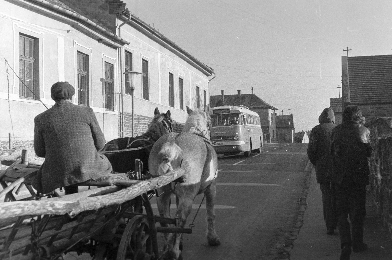 1974, Veres Júlia, Fortepan #312849