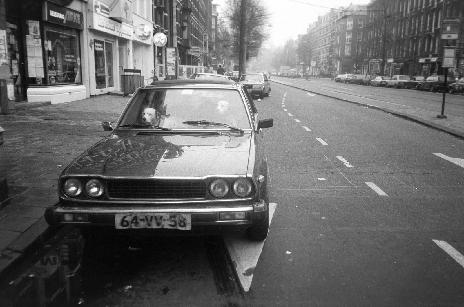 1983, Veres Júlia, Fortepan #312929