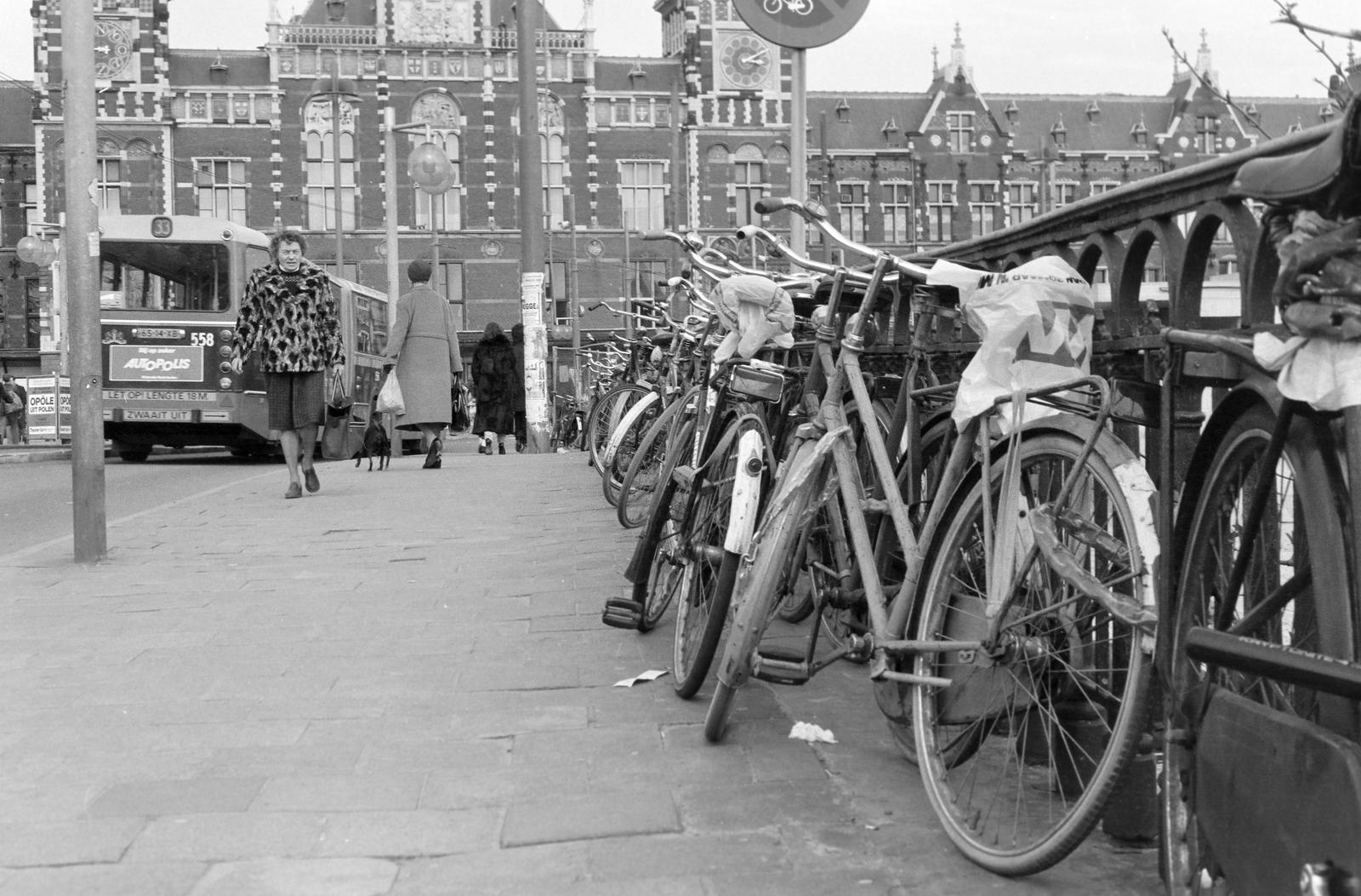 1982, Veres Júlia, Fortepan #312957