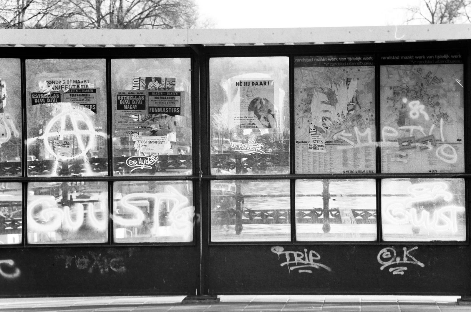 1982, Veres Júlia, Fortepan #312958