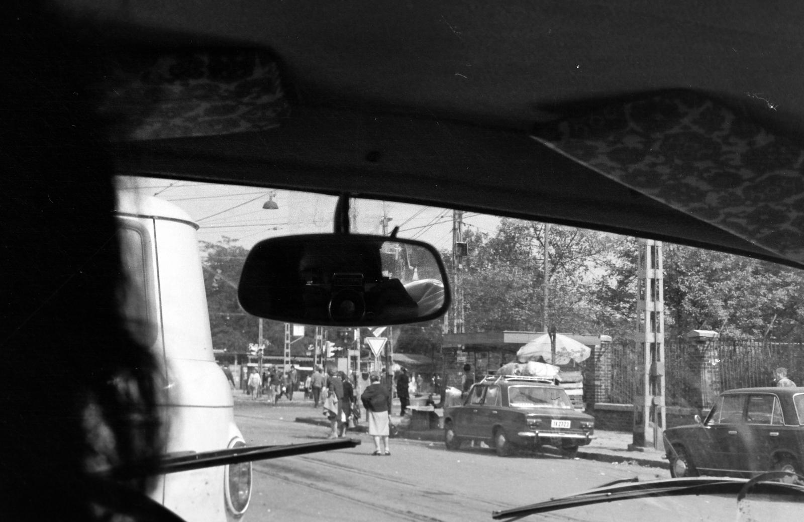 1977, Veres Júlia, Fortepan #312986