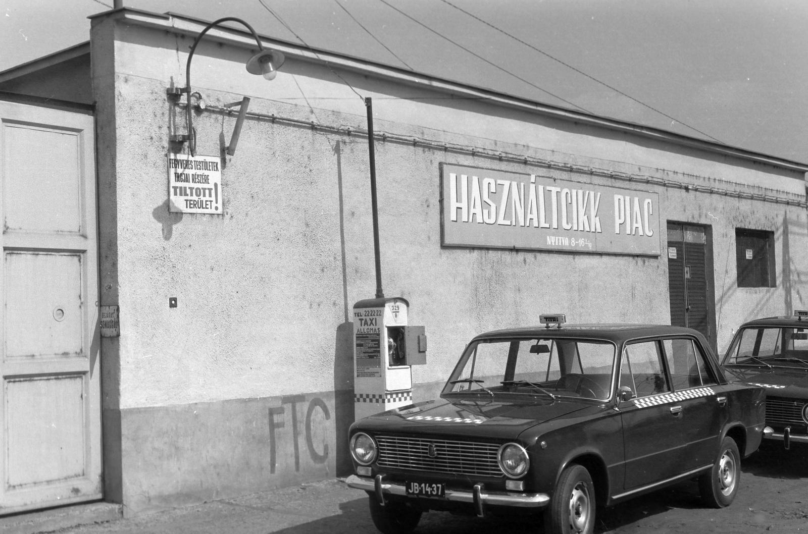 1977, Veres Júlia, Fortepan #312987