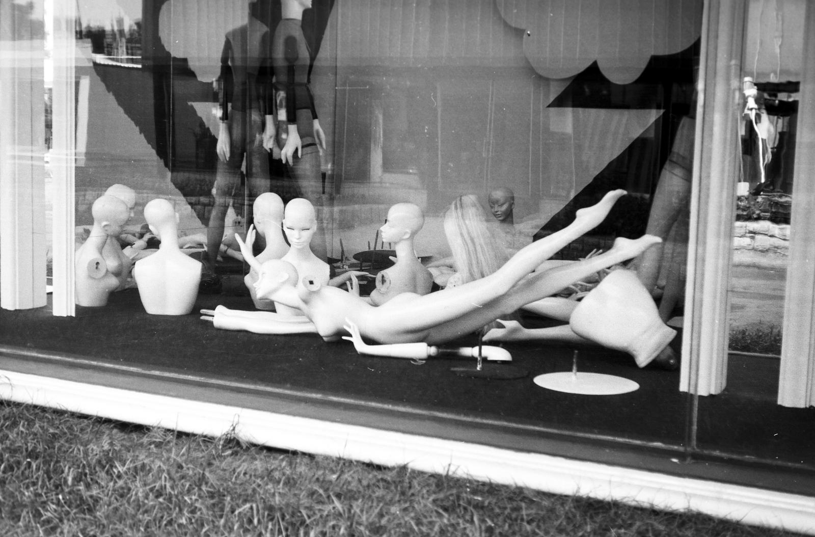 1977, Veres Júlia, Fortepan #312988