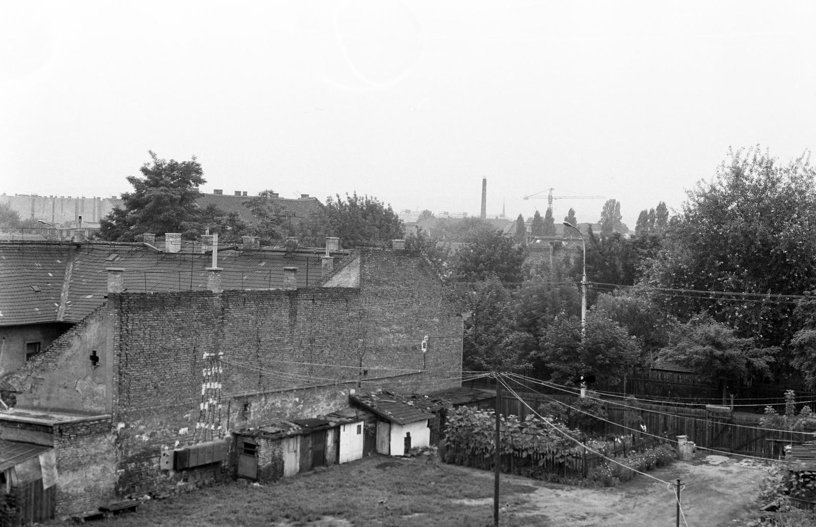 1977, Veres Júlia, Fortepan #312989