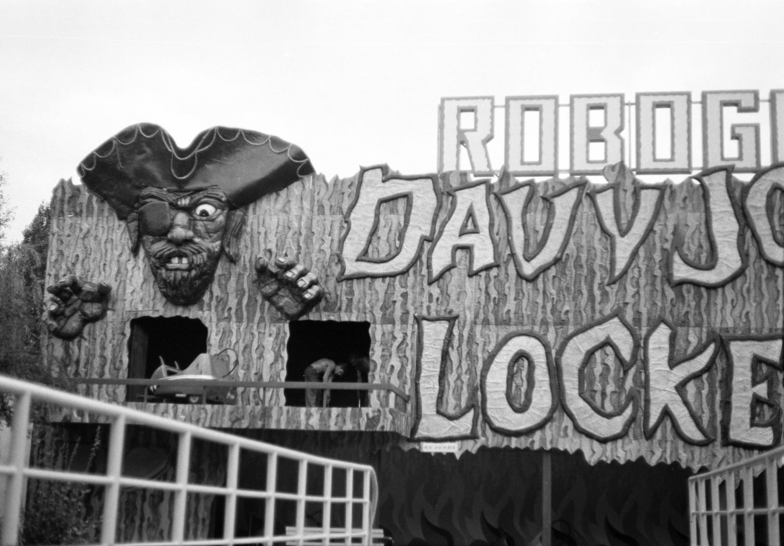 1977, Veres Júlia, Fortepan #312990