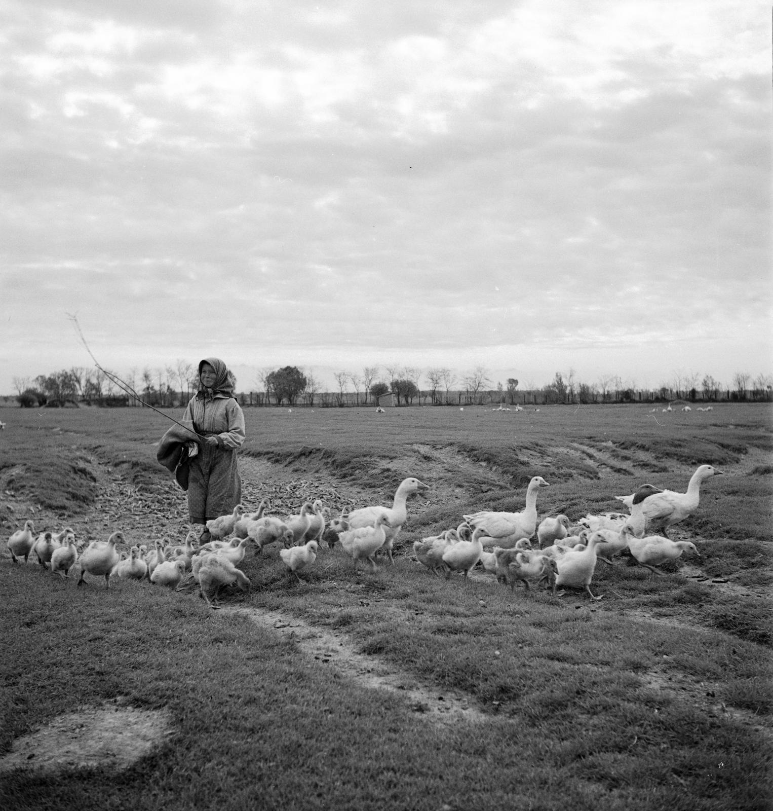 1935, Västernorrlands museum, Fortepan #313025