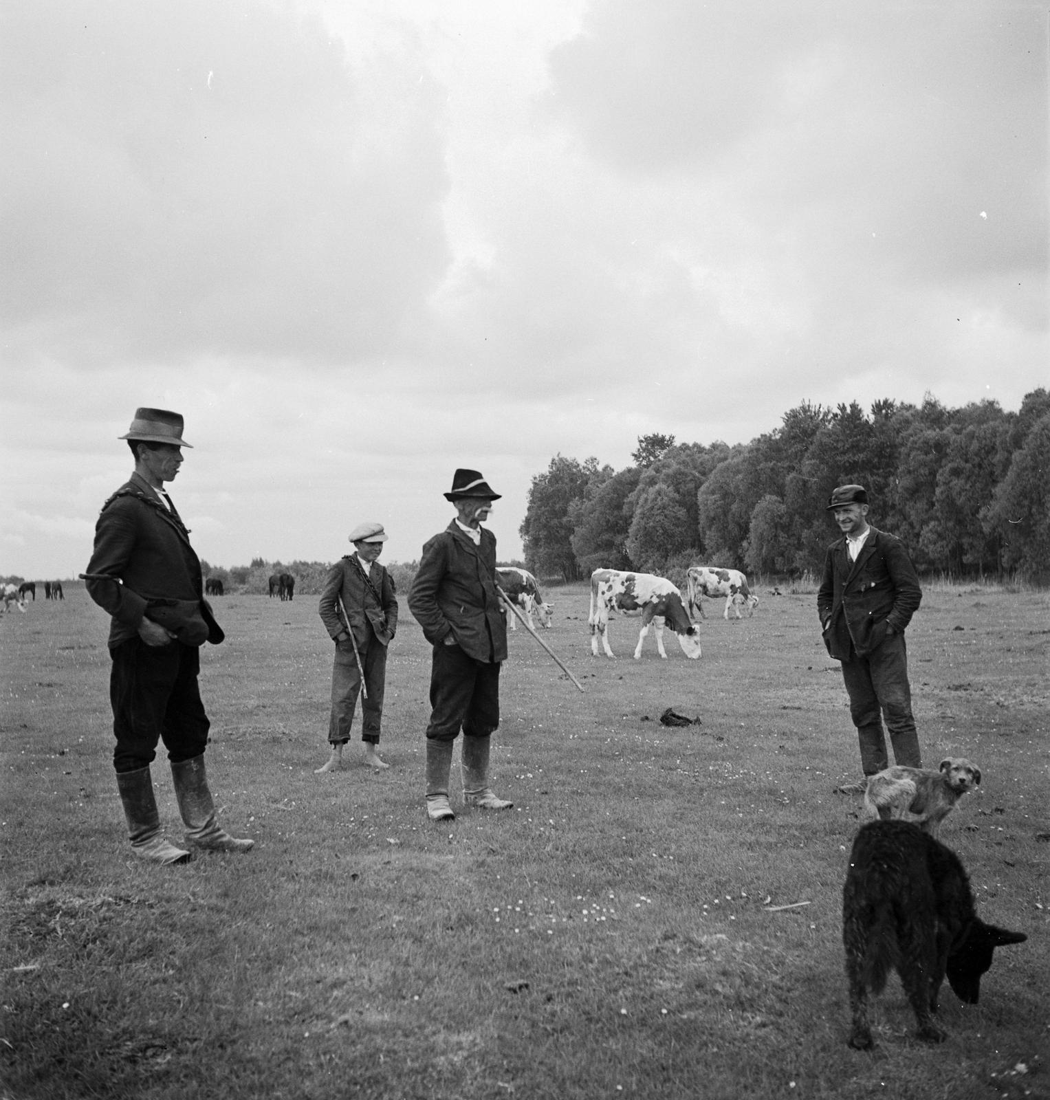1935, Västernorrlands museum, Fortepan #313027